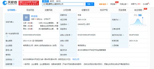 小米斥資20億在武漢成立企業(yè)管理公司，雷軍疑似實(shí)控人